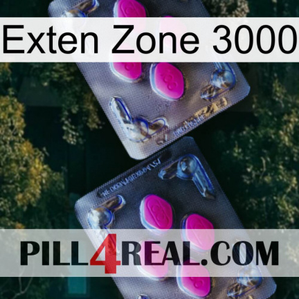 Exten Zone 3000 01